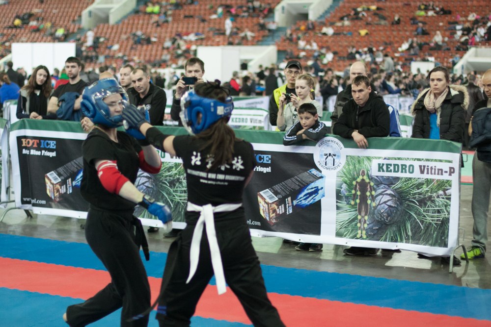 Кубок Мира по Вин Чун 2015г. - 8