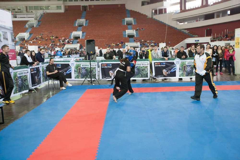 Кубок Мира по Вин Чун 2015г. - 10